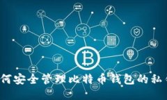 如何安全管理比特币钱包