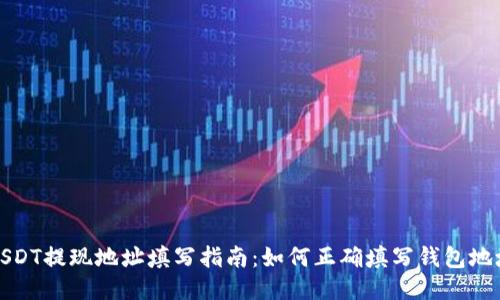 USDT提现地址填写指南：如何正确填写钱包地址