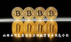 比特币钱包类型及其他数