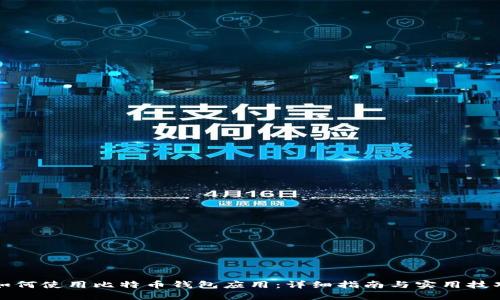 如何使用比特币钱包应用：详细指南与实用技巧