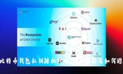 biashi比特币钱包私钥随机