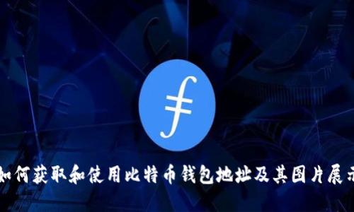 如何获取和使用比特币钱包地址及其图片展示