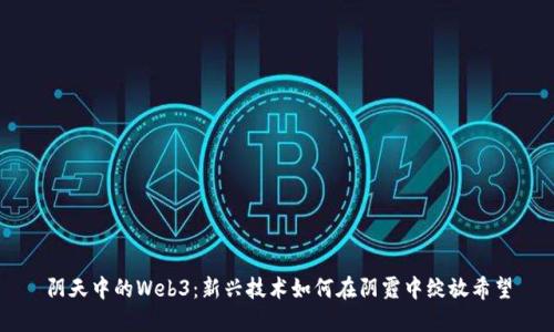 阴天中的Web3：新兴技术如何在阴霾中绽放希望