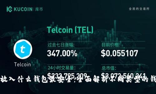 比特币放入什么钱包最安全：全面解析不同类型的钱包选择
