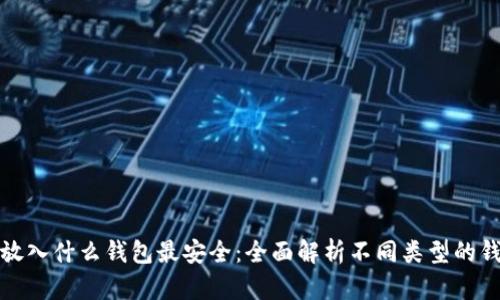 比特币放入什么钱包最安全：全面解析不同类型的钱包选择