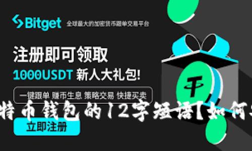 什么是比特币钱包的12字短语？如何安全使用？