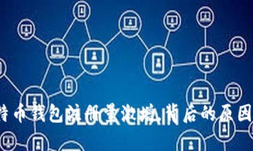 2023年比特币钱包注册量激增，背后的原因与趋势分析