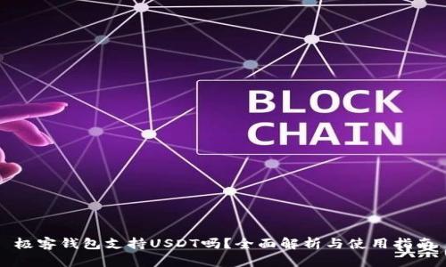 极客钱包支持USDT吗？全面解析与使用指南