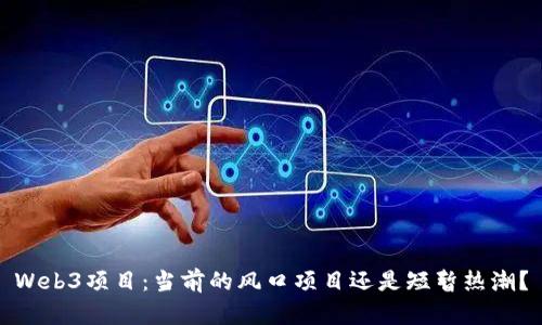 Web3项目：当前的风口项目还是短暂热潮？