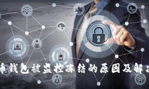 比特币钱包被监控冻结的原因及解决方法