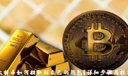 
比特币如何提取到自己的钱包？详细步骤与技巧