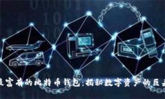 最富有的比特币钱包：揭