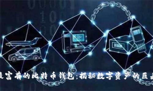 最富有的比特币钱包：揭秘数字资产的巨头