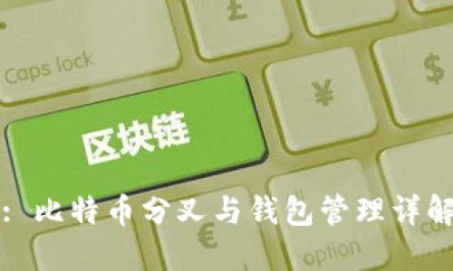 : 比特币分叉与钱包管理详解