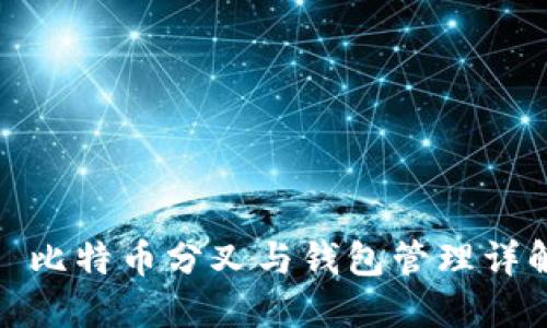 : 比特币分叉与钱包管理详解