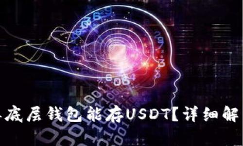 : 什么单底层钱包能存USDT？详细解析与推荐