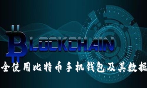 如何安全使用比特币手机钱包及其数据包管理