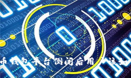 标签: 比特币钱包平台倒闭后用户该如何保护资产？