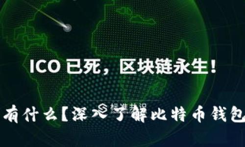 比特币钱包里有什么？深入了解比特币钱包的构成与功能