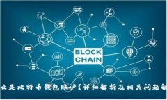 什么是比特币钱包账户？