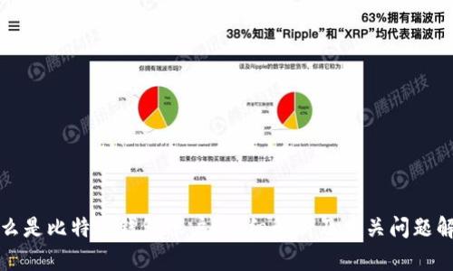 什么是比特币钱包账户？详细解析及相关问题解答