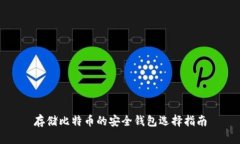存储比特币的安全钱包选