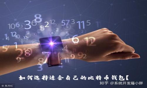 如何选择适合自己的比特币钱包？