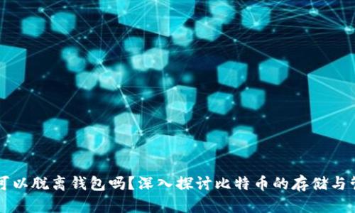 比特币可以脱离钱包吗？深入探讨比特币的存储与管理方式