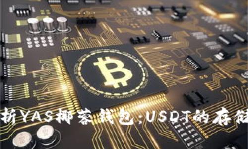全面解析YAS椰蓉钱包：USDT的存储与管理