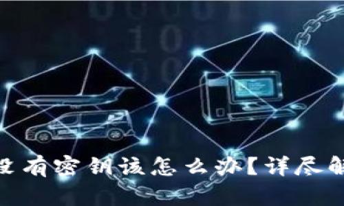 : 比特币钱包没有密钥该怎么办？详尽解读与应对策略