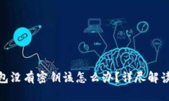 : 比特币钱包没有密钥该怎