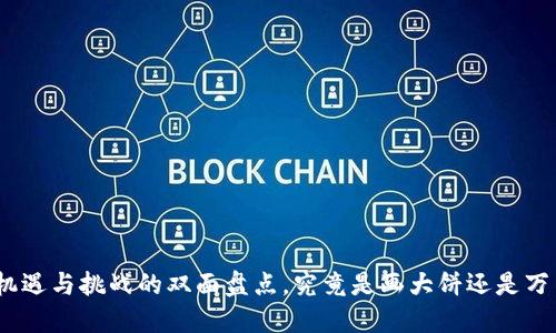 Web3：机遇与挑战的双面盘点，究竟是画大饼还是万里长征？