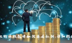 比特币钱包中如何查看私