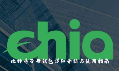 比特币子母钱包详细介绍与使用指南