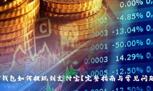 USDT钱包如何提现到支付宝？完整指南与常见问题解析