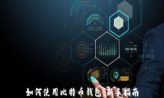 如何使用比特币钱包：新
