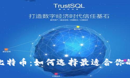 : 狐狸钱包和比特币：如何选择最适合你的数字货币钱包