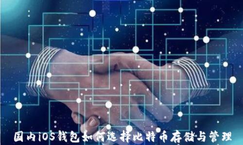 
国内iOS钱包如何选择比特币存储与管理