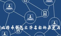 早期比特币钱包文件名称