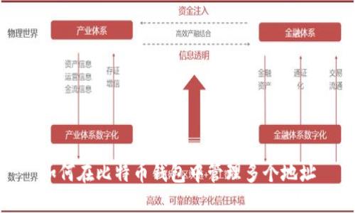 如何在比特币钱包中管理多个地址