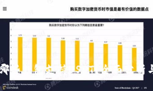 中国哪些钱包支持USDT？全面分析与推荐