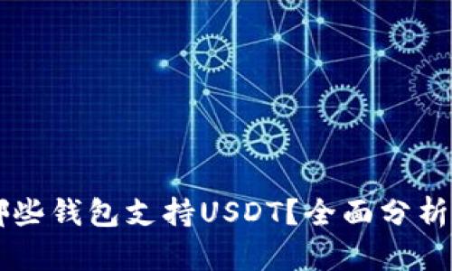 中国哪些钱包支持USDT？全面分析与推荐