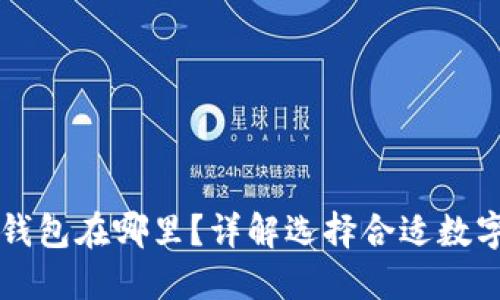 比特币数字钱包在哪里？详解选择合适数字钱包的方法