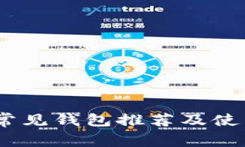 USDT常见钱包推荐及使用指南
