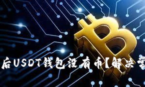 导入助记词后USDT钱包没有币？解决常见问题指南