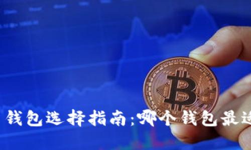 比特币钱包选择指南：哪个钱包最适合你？