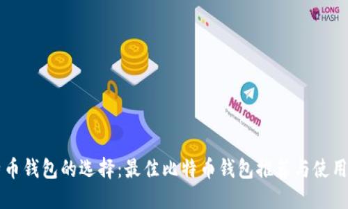 比特币钱包的选择：最佳比特币钱包推荐与使用指南