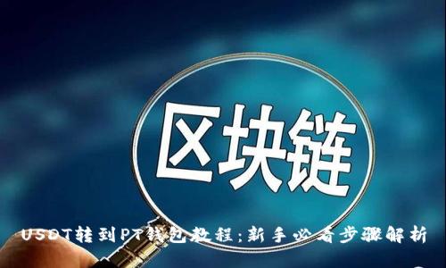 USDT转到PT钱包教程：新手必看步骤解析