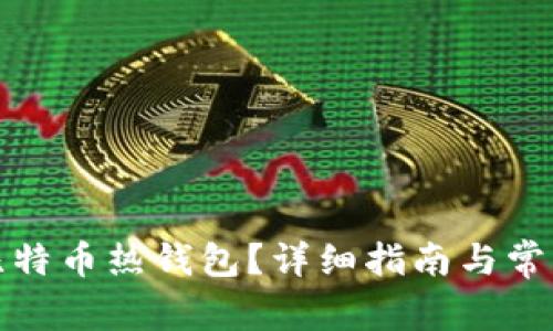 如何注册比特币热钱包？详细指南与常见问题解答
