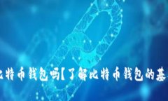 货币账号是比特币钱包吗